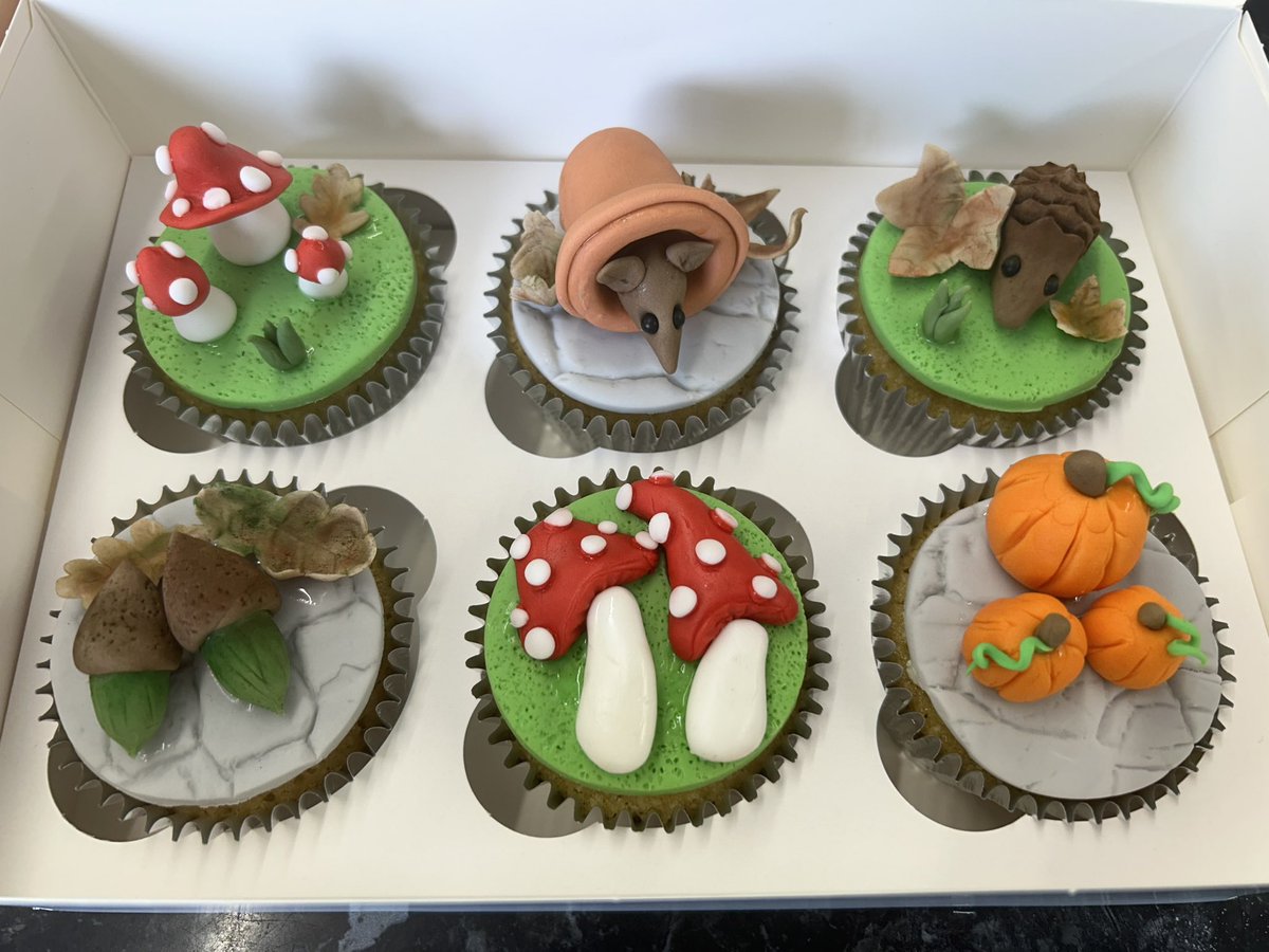 still_kel's tweet photo. Thank you to @SwansSugarcraft for the fantastic cupcake decorating class today! I absolutely loved creating these autumnal cupcakes! 🎃🍁🍂🍄🦔🧁😋#cakedecorating #cupcakes https://t.co/0yL97GA7B7