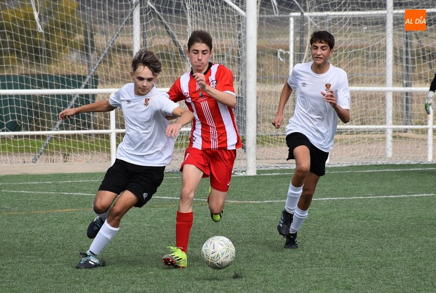 Ciudad Rodrigo al Día tweet media