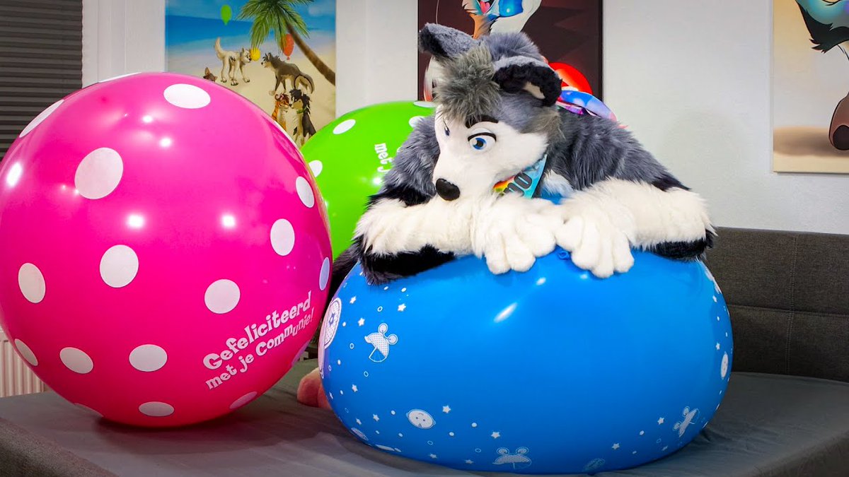 SkeppoBalloon 🎈🐾 tweet media