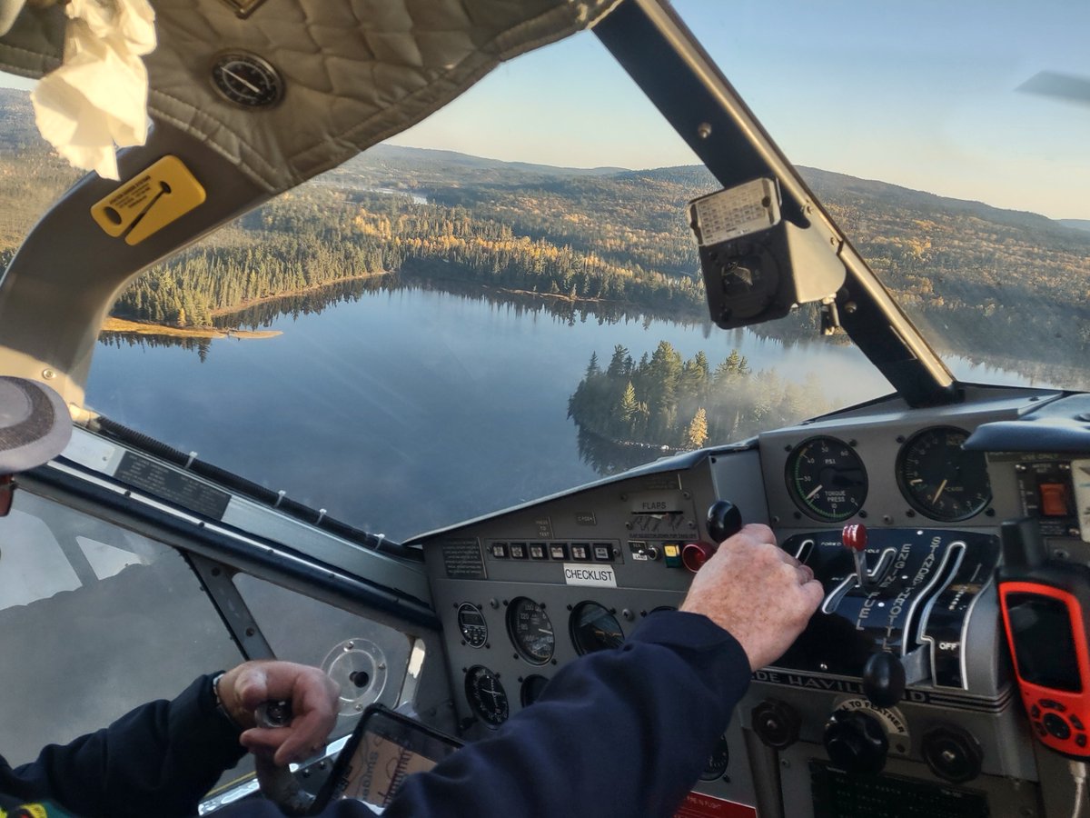 Dr. Liz Favot tweet media