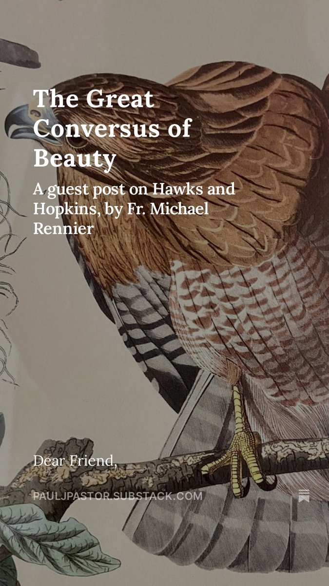 Paul J. Pastor tweet media