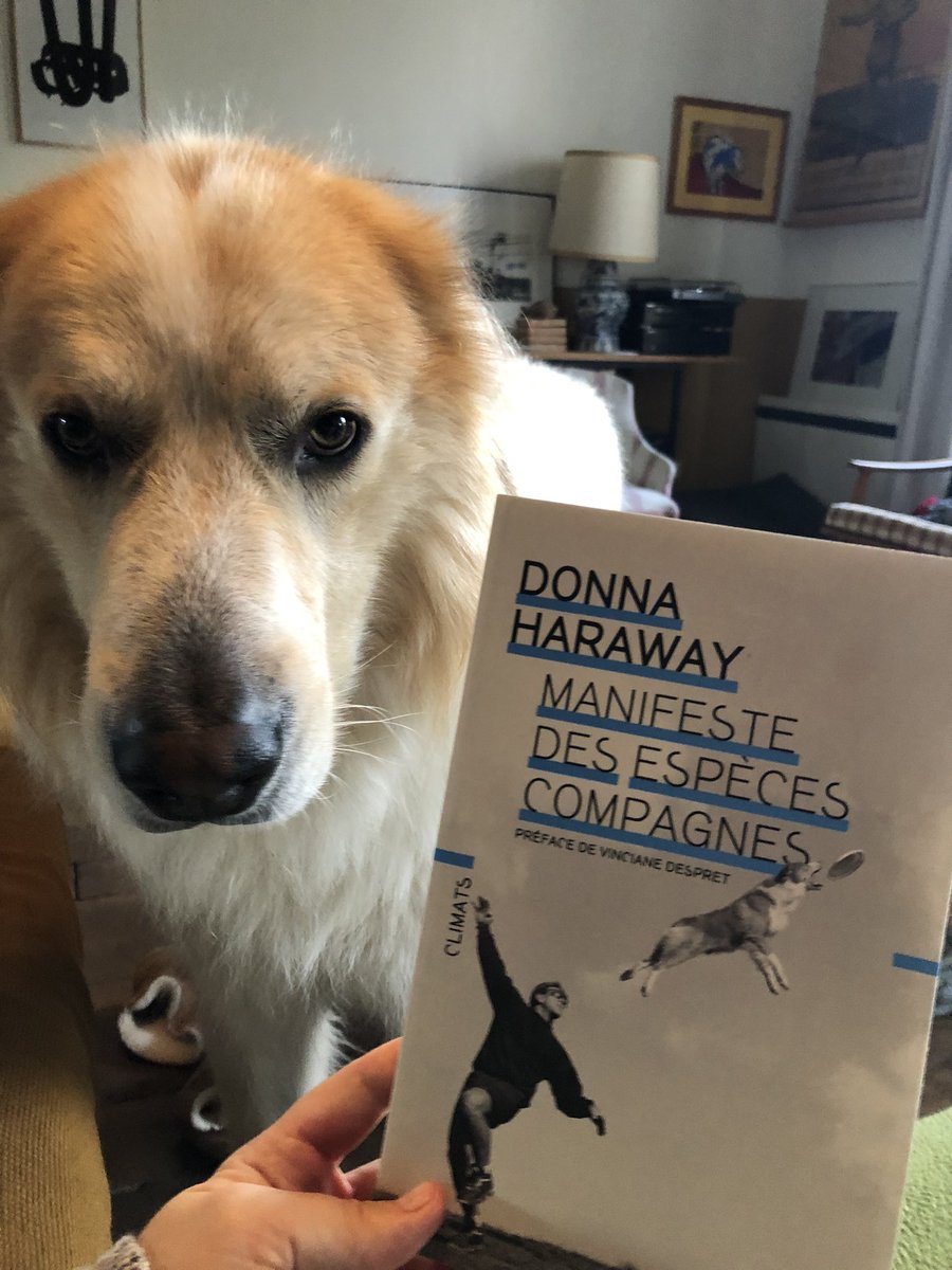 Manon Pengam tweet media