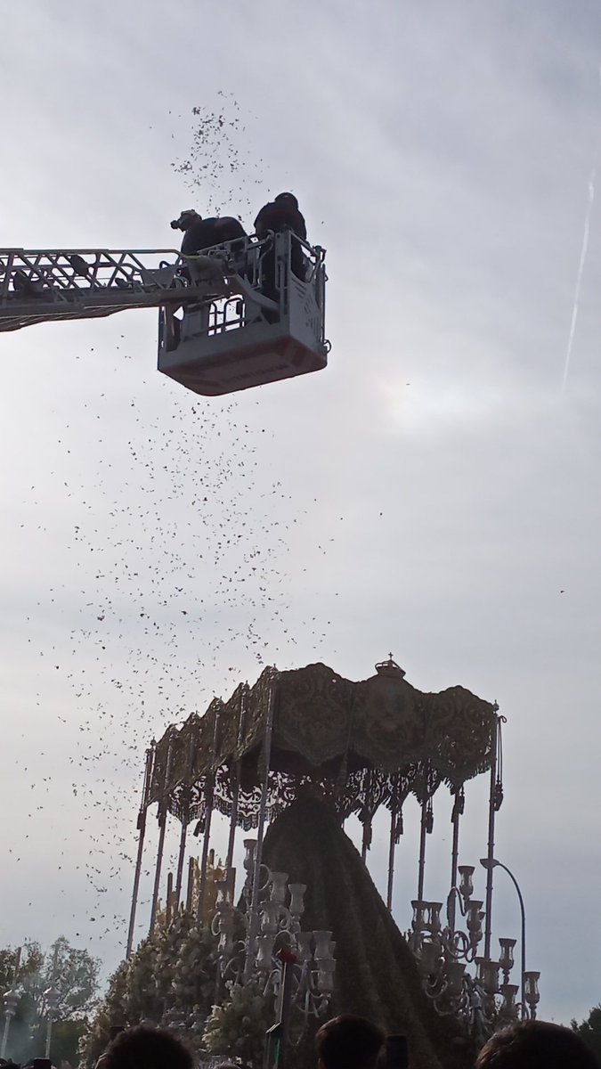 Leona 🐯 tweet media