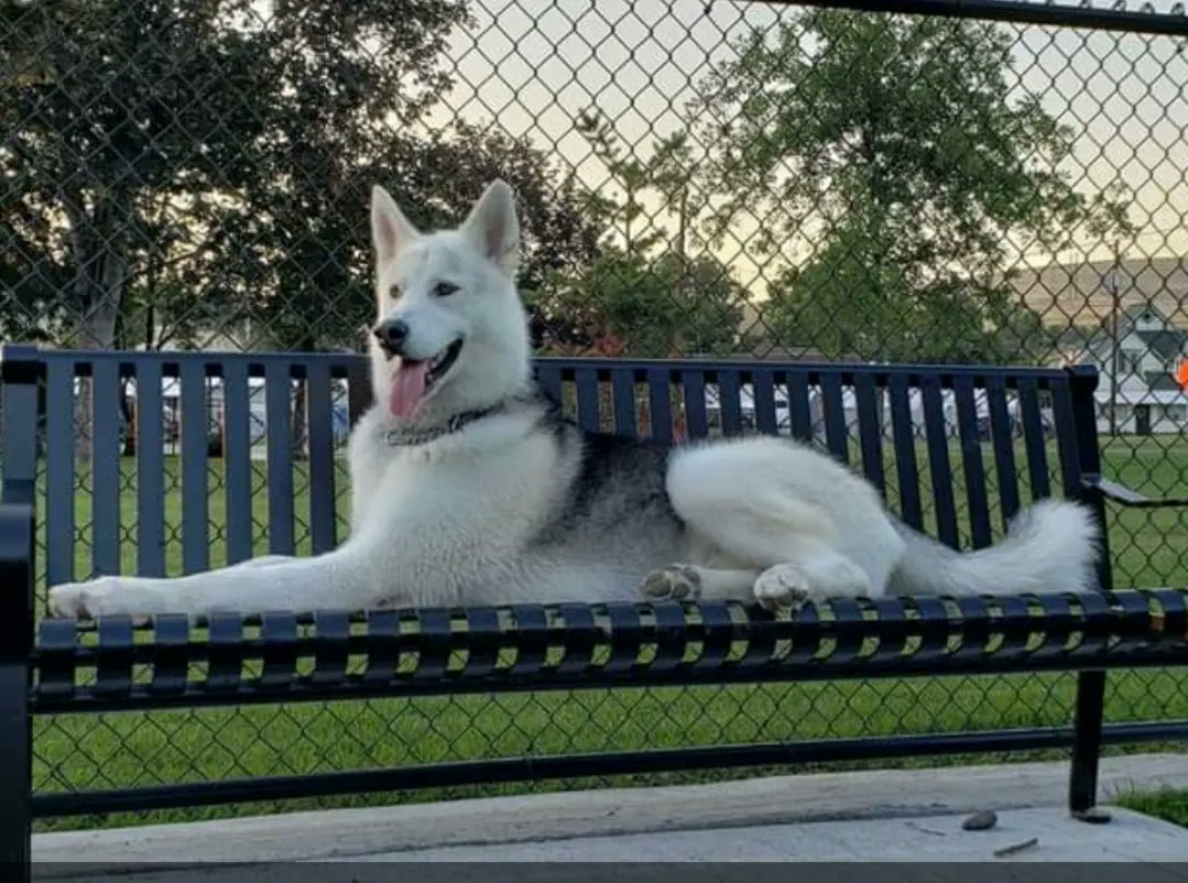 Shaindel Beers 🍻 tweet media