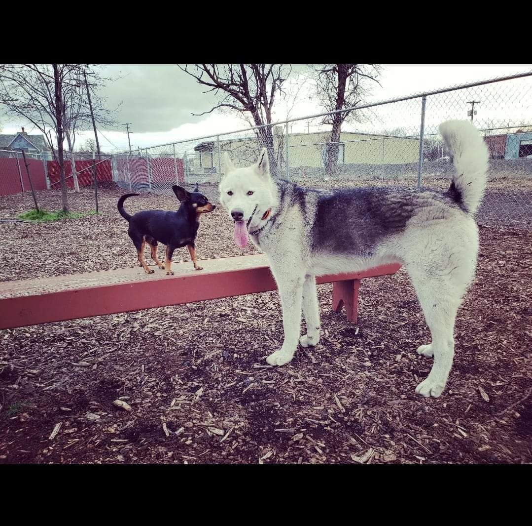 Shaindel Beers 🍻 tweet media