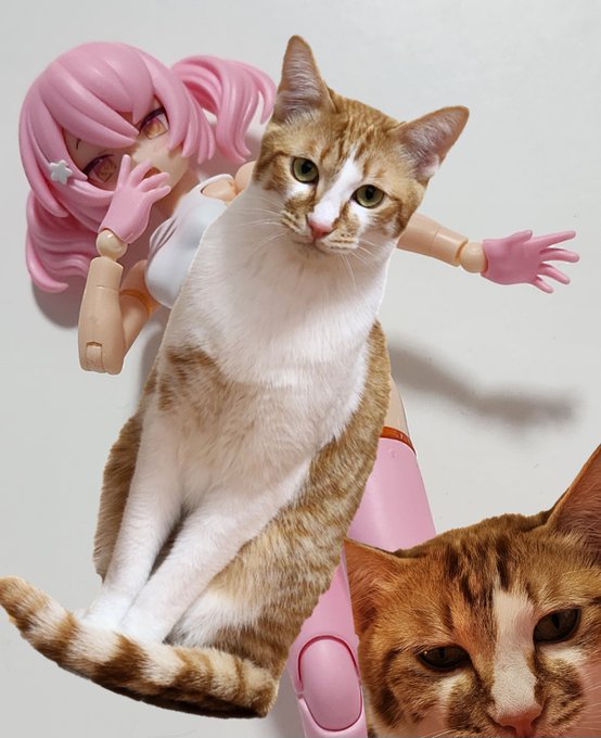 おとななのにこんなこどもにかてないんだ～💕
ざぁ～こざぁ～こ💕

素体出来たけどこれはまぢで凍結しかねん🤣 