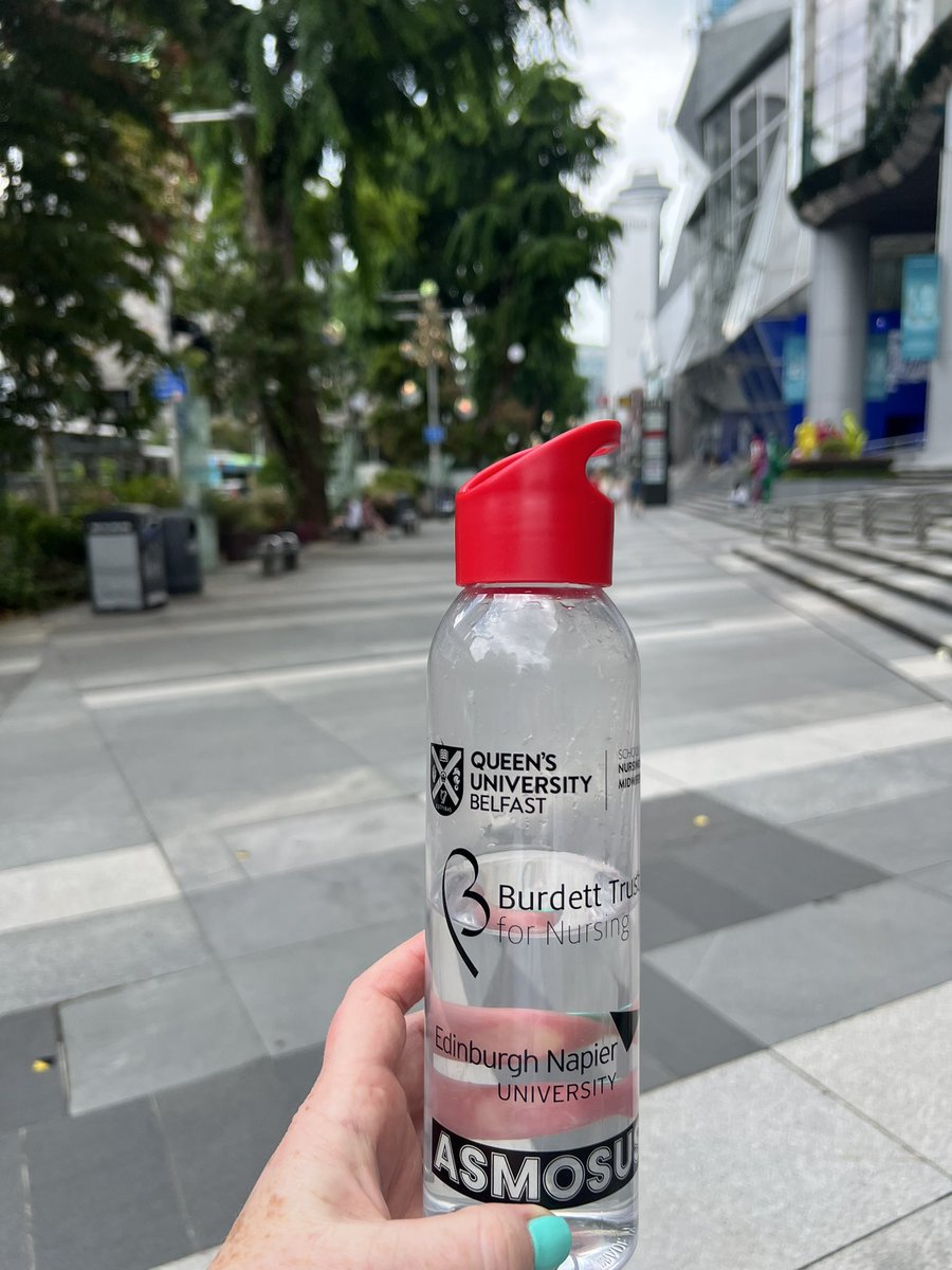 crbrownwilson's tweet image. An advance party for #ASMOSUSresource in #Singapore @orchardroadsg @ClarkeQuay #LoveSingapore #LoveQUB
