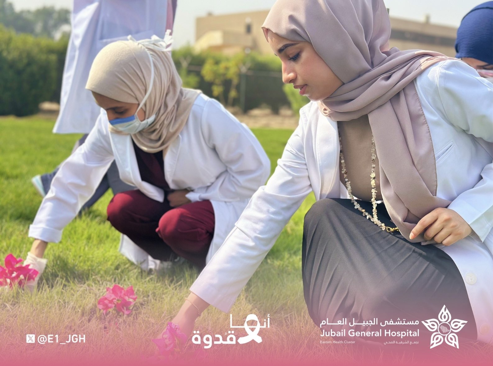 الصورة