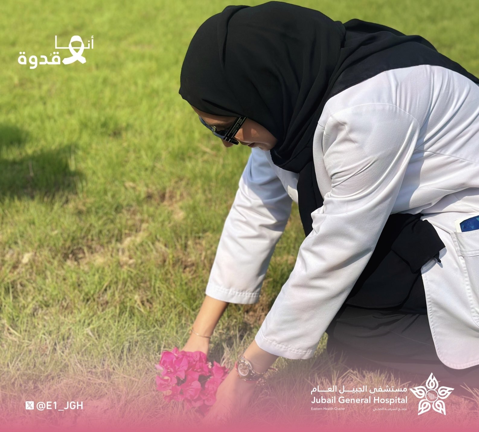 الصورة