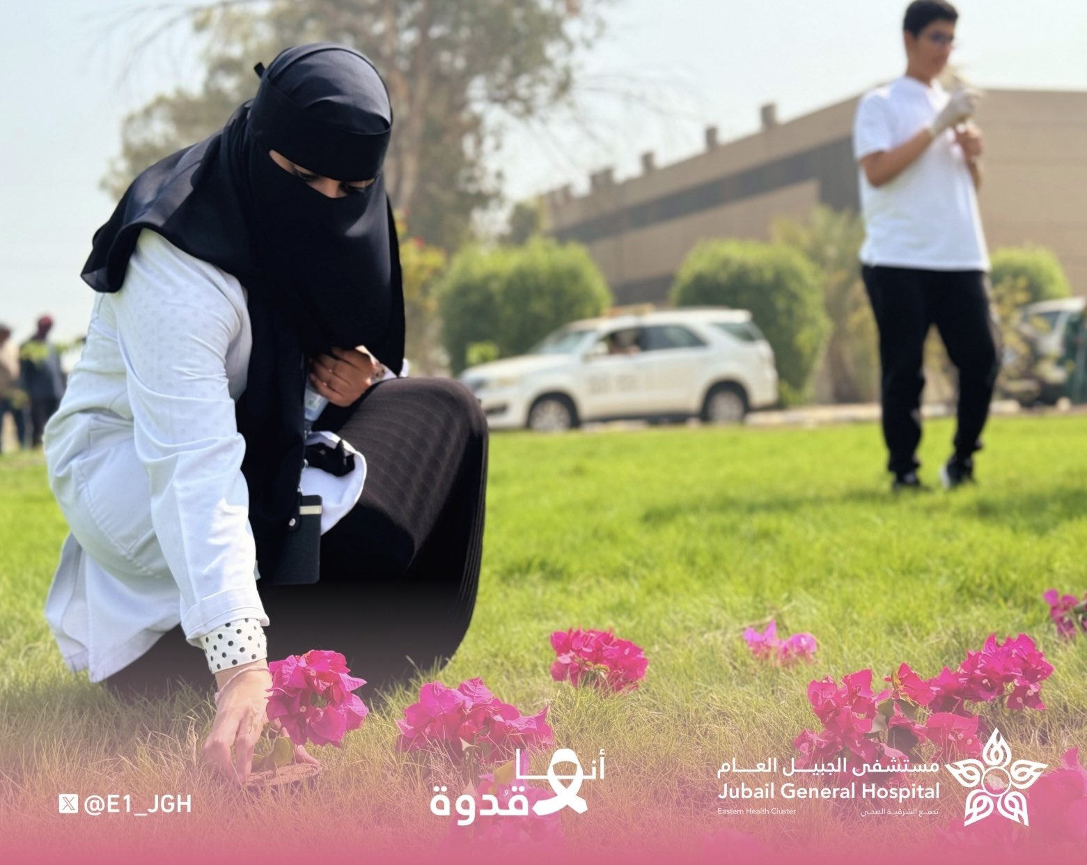 الصورة