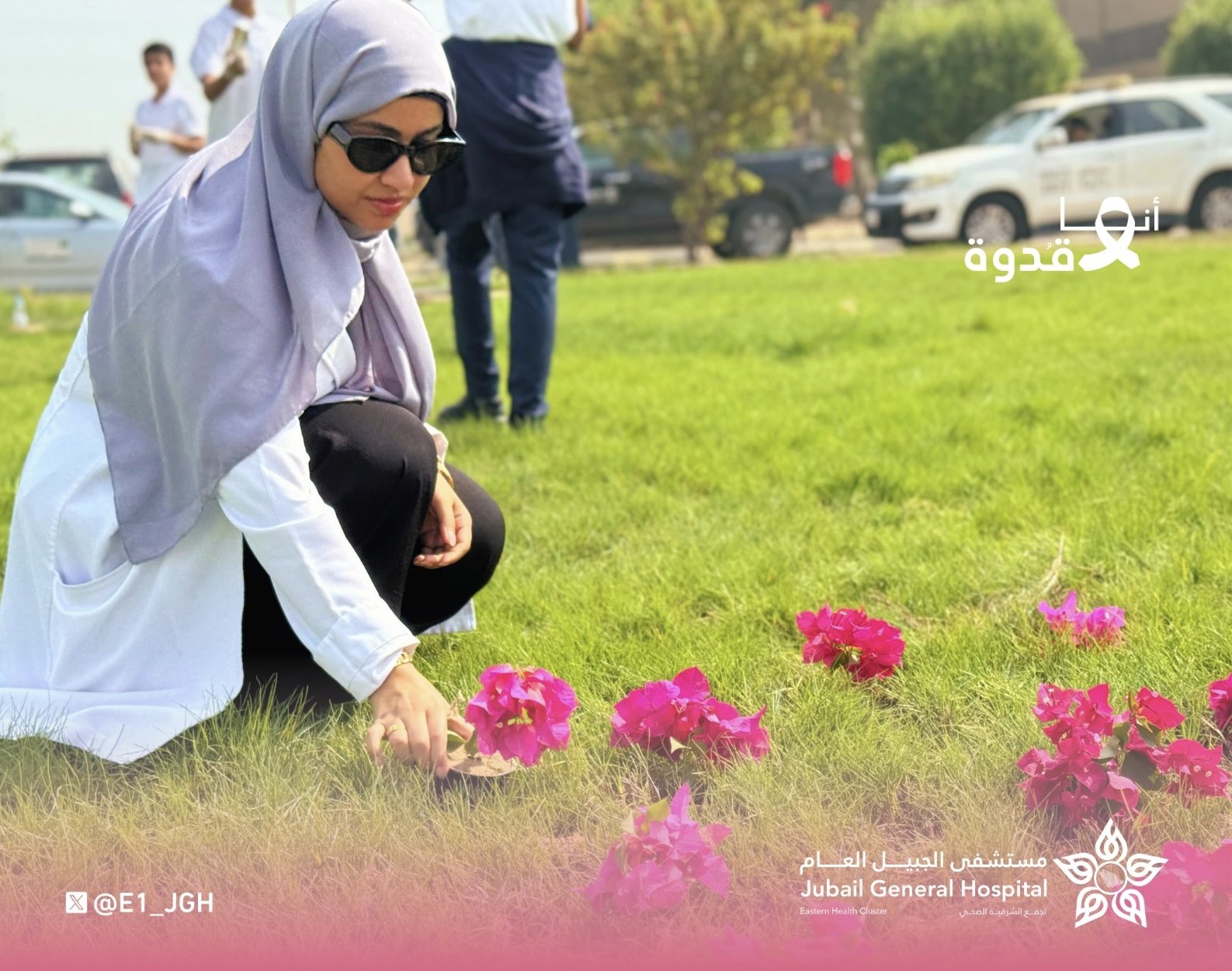 الصورة