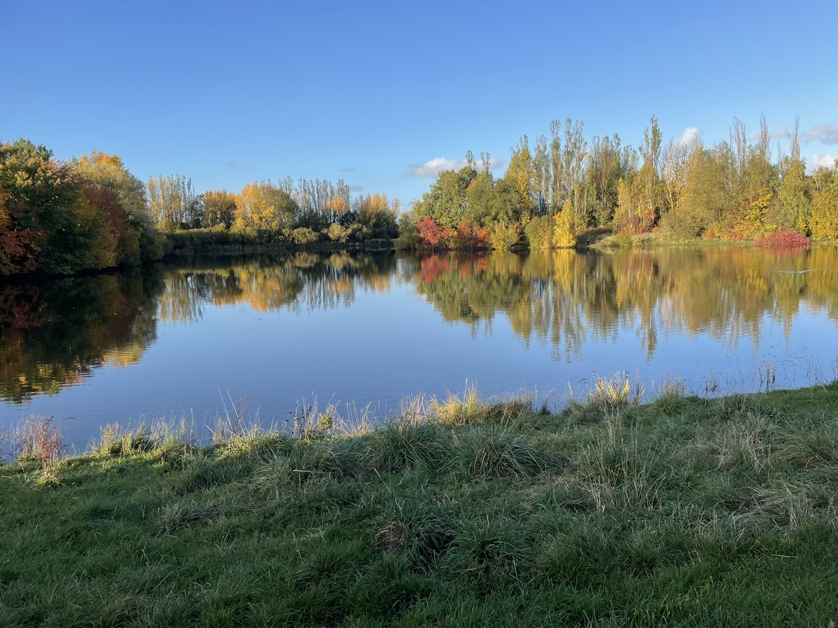 After a crap week …..this ⬇️