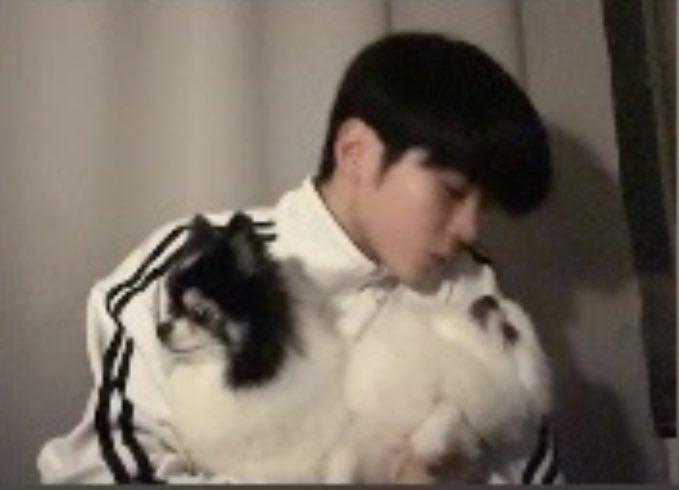 arc_SHB's tweet photo. 보리 이제 체념햇나봄 
해라 해。。。 https://t.co/MvsXNqJVLG