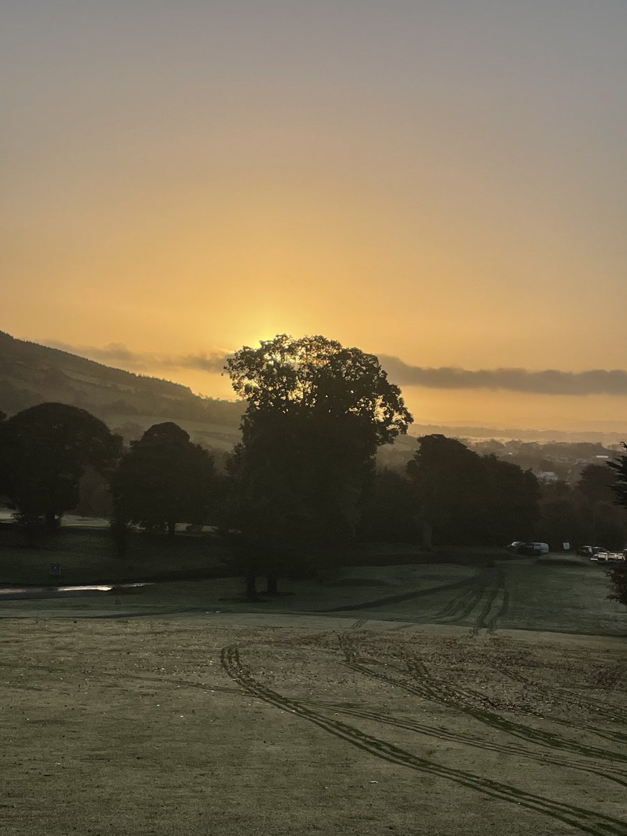 Brendan Doogue tweet media