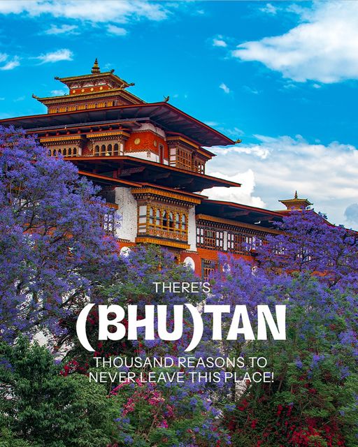 Booking Travel - Cheap Flights & Tours tweet media