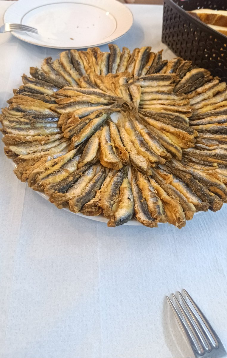 Temirhan Bey tweet media