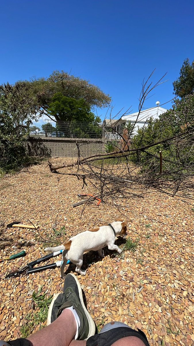 As the saying goes, get outside and touch some stones