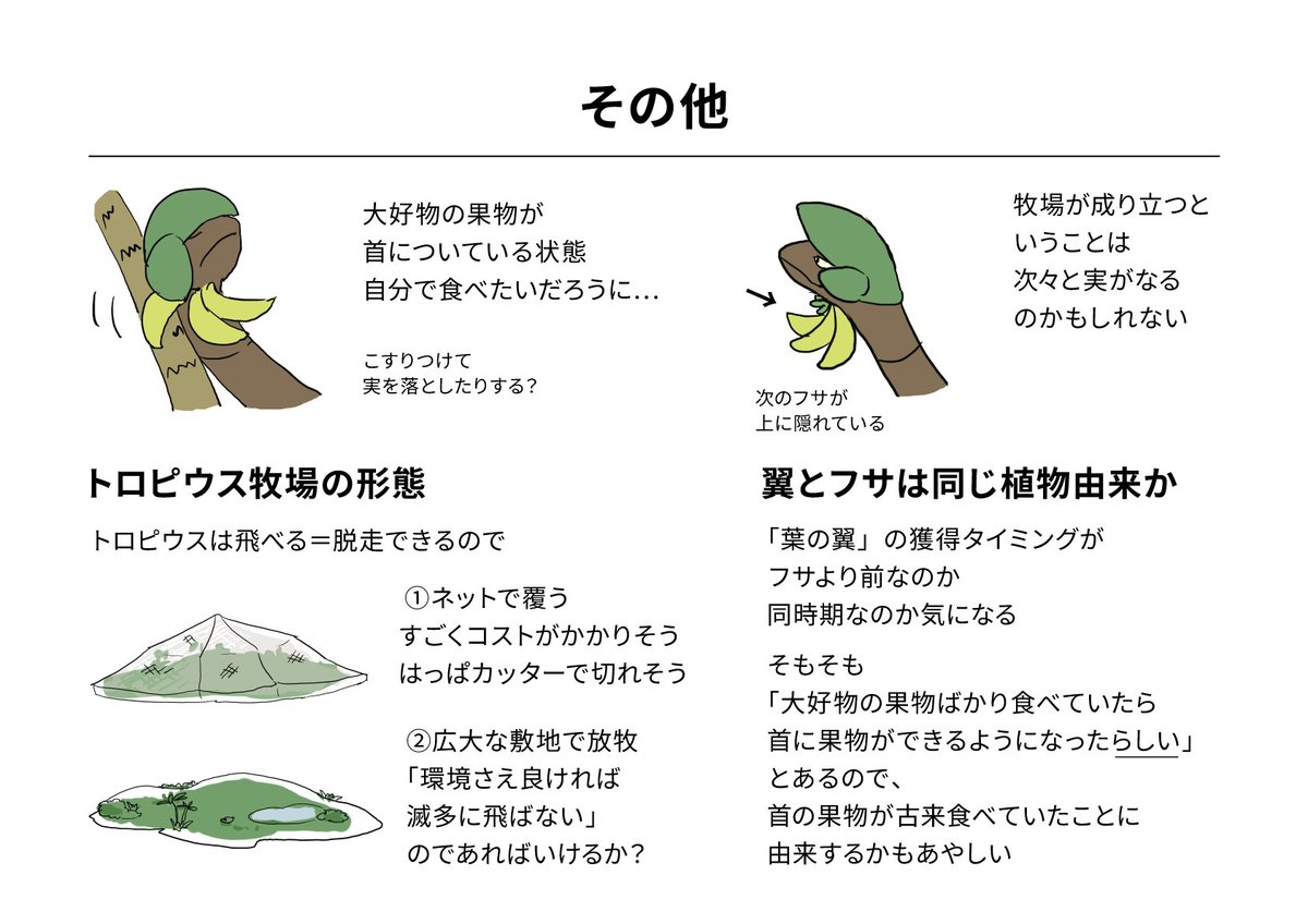 トロピウスを考える 