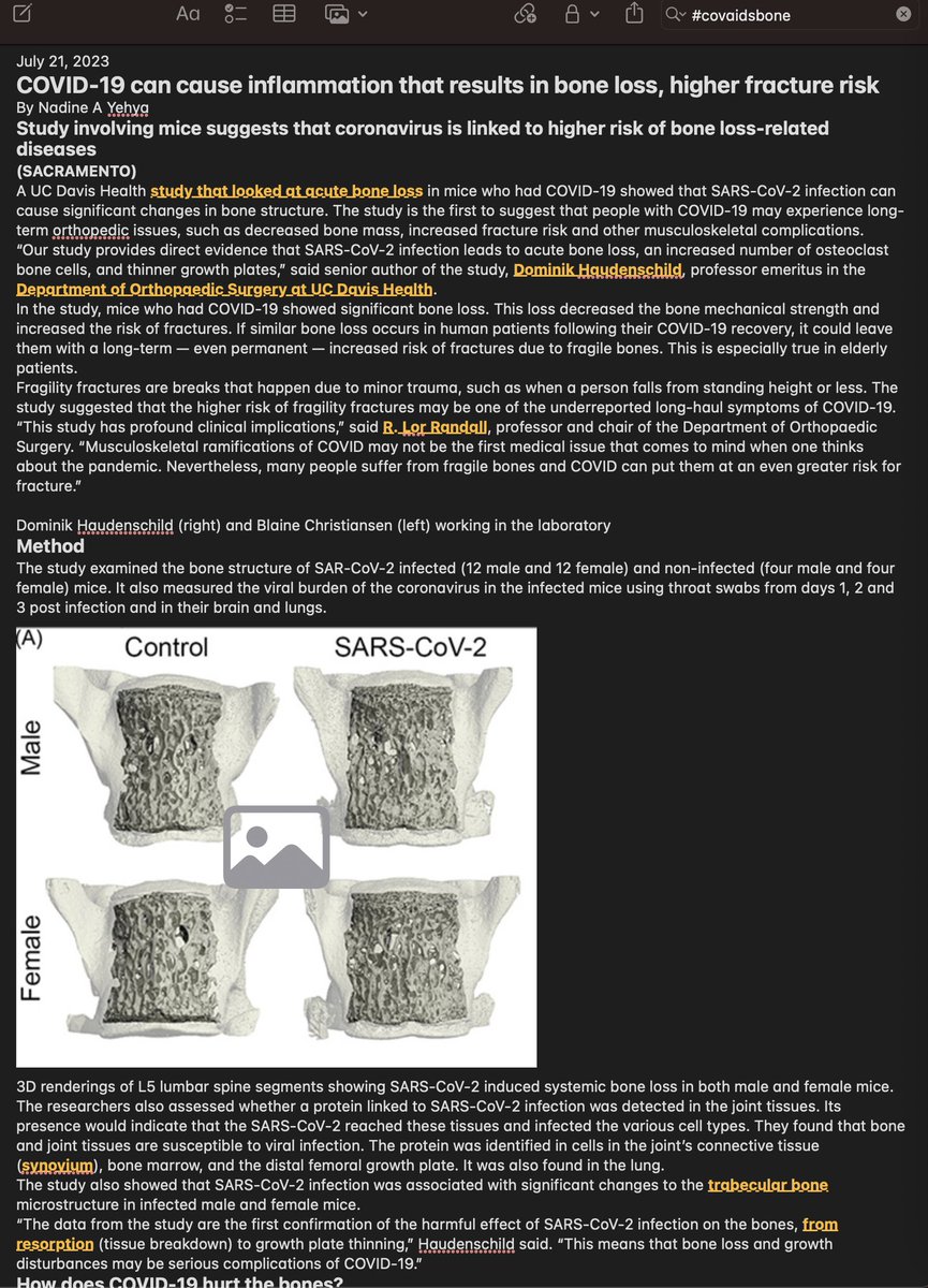 MarcusFitzsimon's tweet image. the FIRST thing I did in 2020 once it was named was look up its &quot;parent&quot;

every day I log in, I get angry

every day there&apos;s ANOTHER research article that simply RECONFIRMS what I knew in 2020

ALL SARS-COV-1 survivors suffered osteoporosis &amp;amp; necrosis of the femoral head