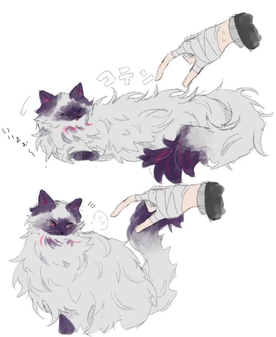 猫化 