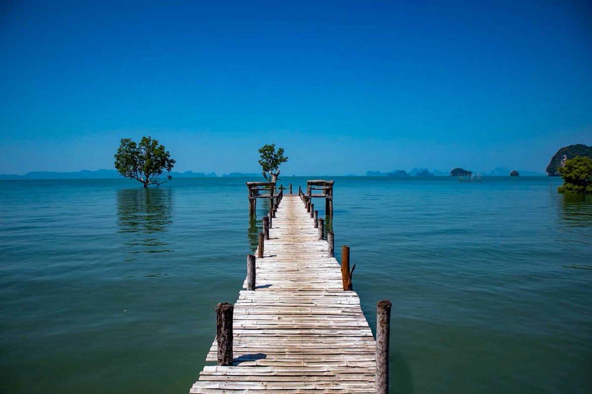 SiamPictures's tweet image. Bridges carry us between worlds—this one in Phang Nga Bay feels like it leads to another realm. Some places call for exploration, others for a moment of stillness. 🌊 #PhangNgaBay #MysticThailand #NaturePath #ExploreTheUnknown"