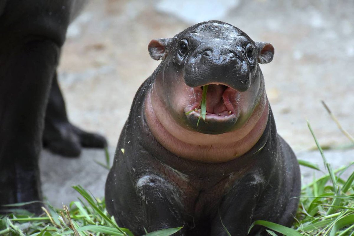 1991 🧲 tweet media