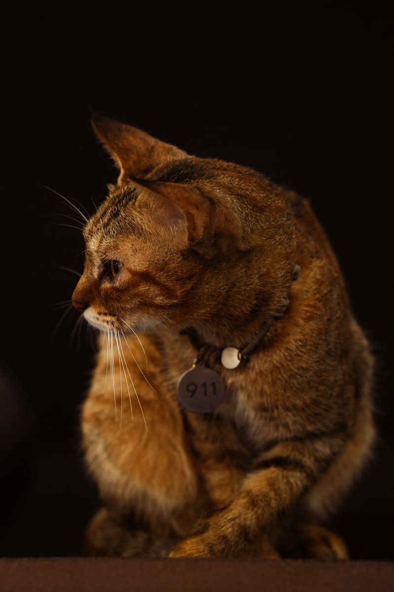 Assad (@assad_lin) on Twitter photo 