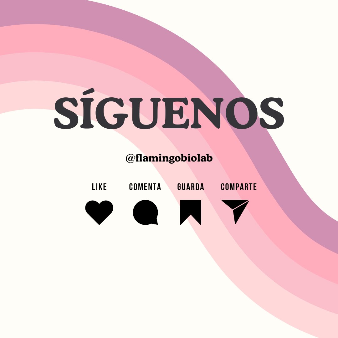 Flamingo Biomechanical Lab tweet media