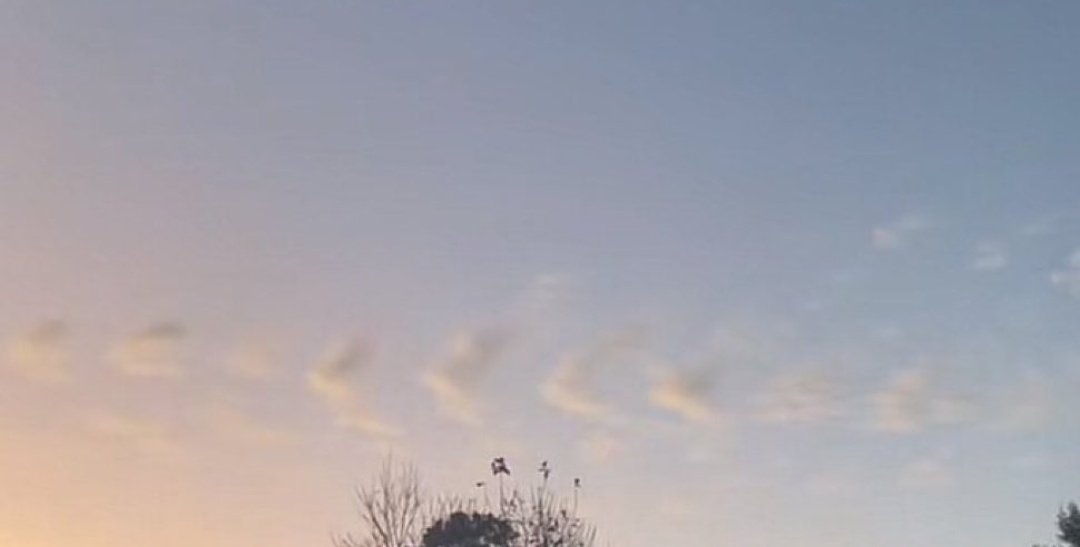 Voi sapete.❤️‍🩹

Ci credo tantissimo in queste cose, è un segno🤍🕊️ #LiamPayne