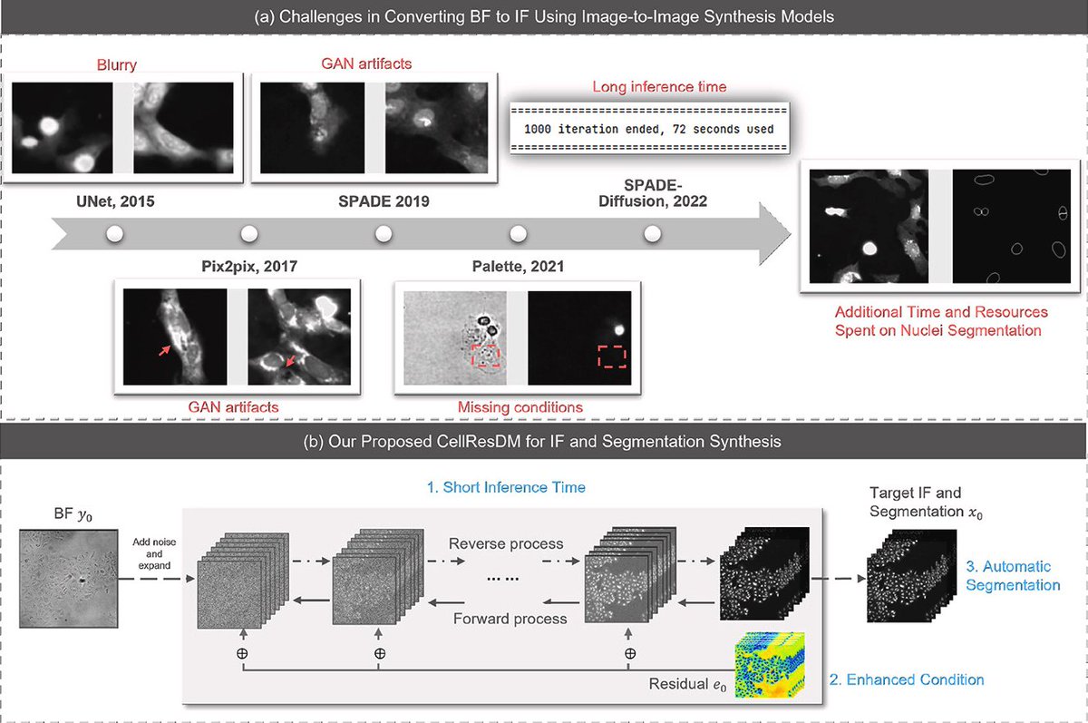 gyangMedIA's tweet image. 🎉 Huge congratulations to Xiaodan Xing once again on publishing our latest research in the #Neurocomputing journal! 📚

🔗 Dive into the full paper: sciencedirect.com/science/articl…

#Immunofluorescence #Brightfield #DiffusionModels #CellBiology #DrugDevelopment #GenerativeModels 🚀👏