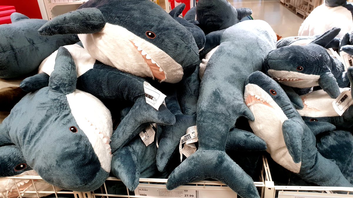 🍰 NagiNova ☕ | VTuber | @Dokomi2026 tweet media