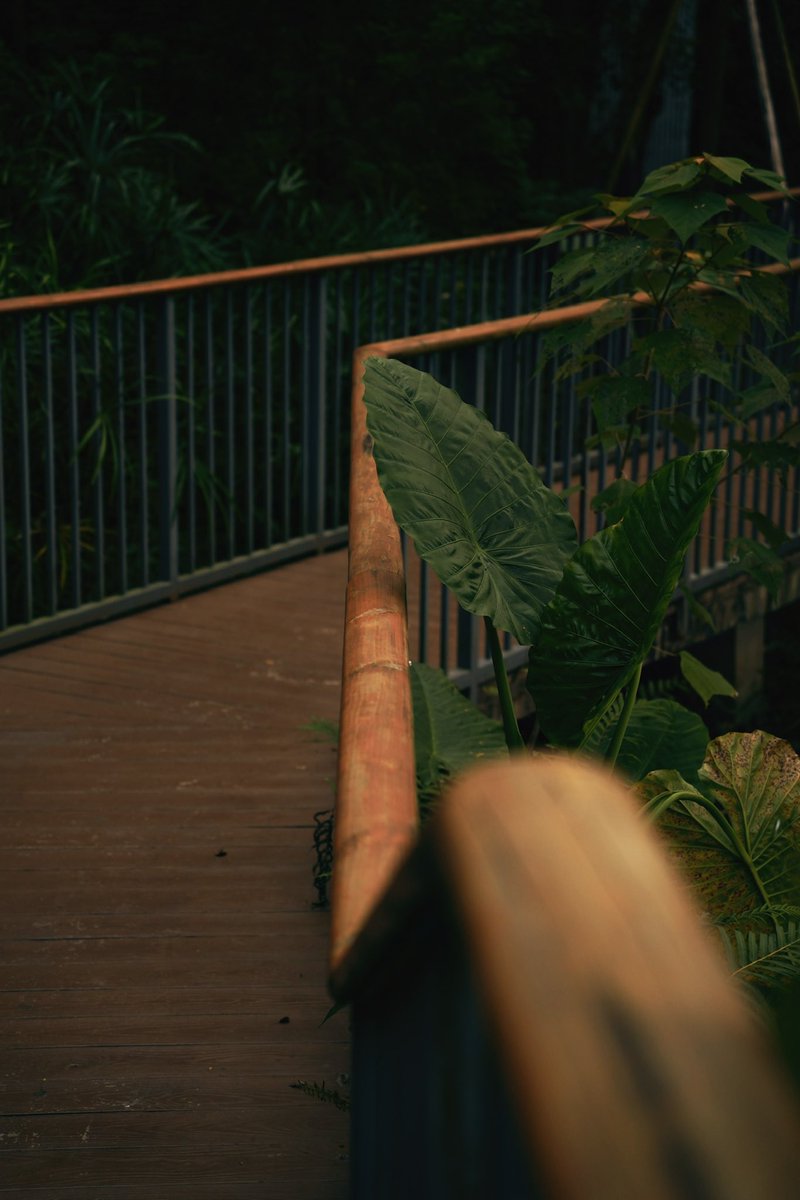 Assad (@assad_lin) on Twitter photo 