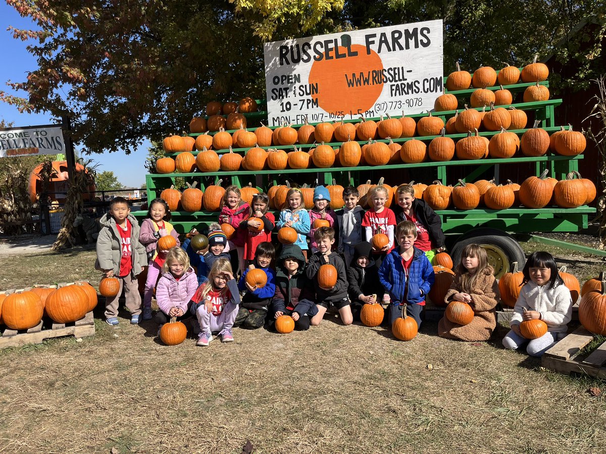 Amanda Dillon tweet media