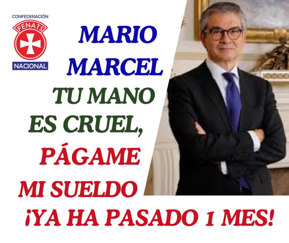 FENATS NACIONAL tweet media