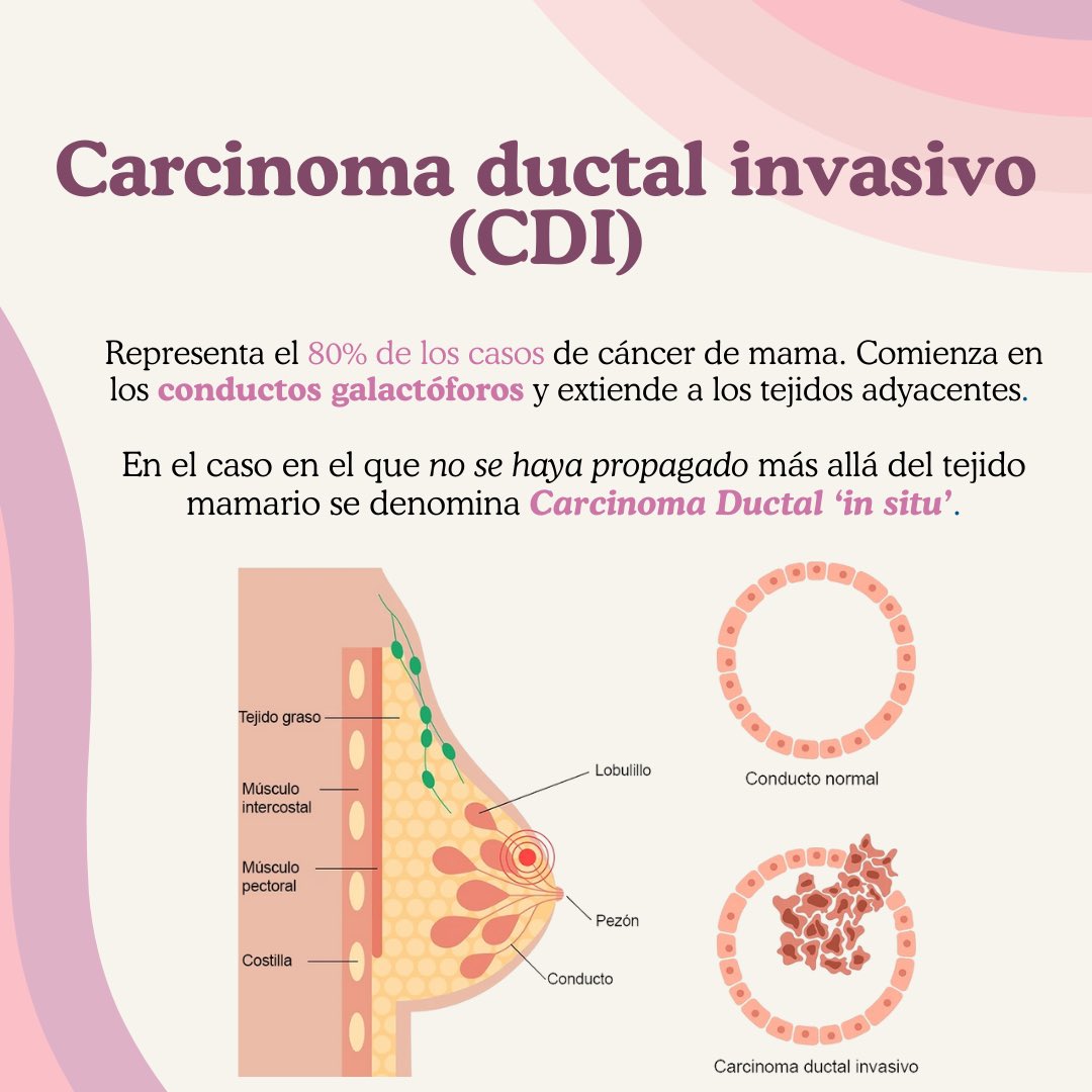 Flamingo Biomechanical Lab tweet media