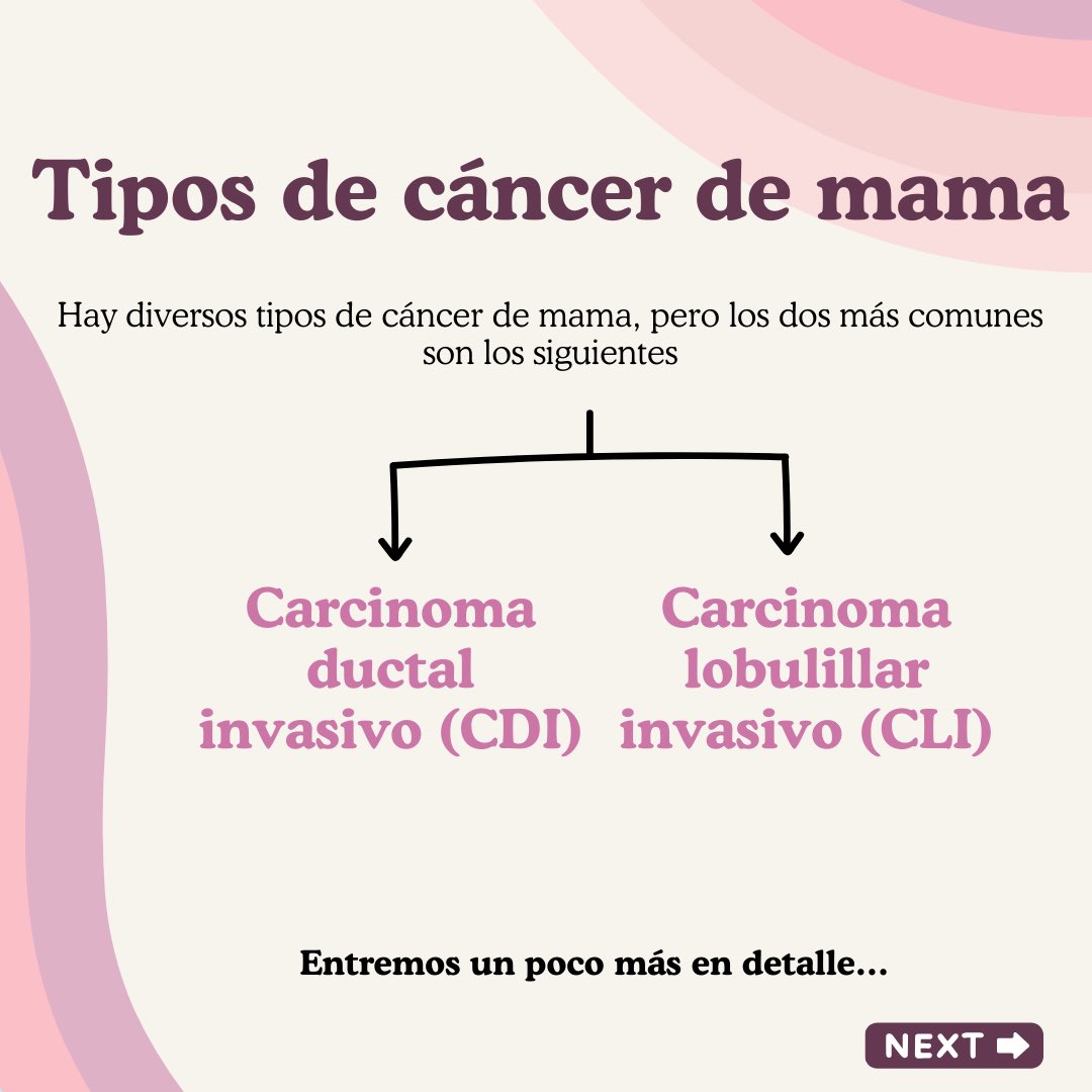 Flamingo Biomechanical Lab tweet media