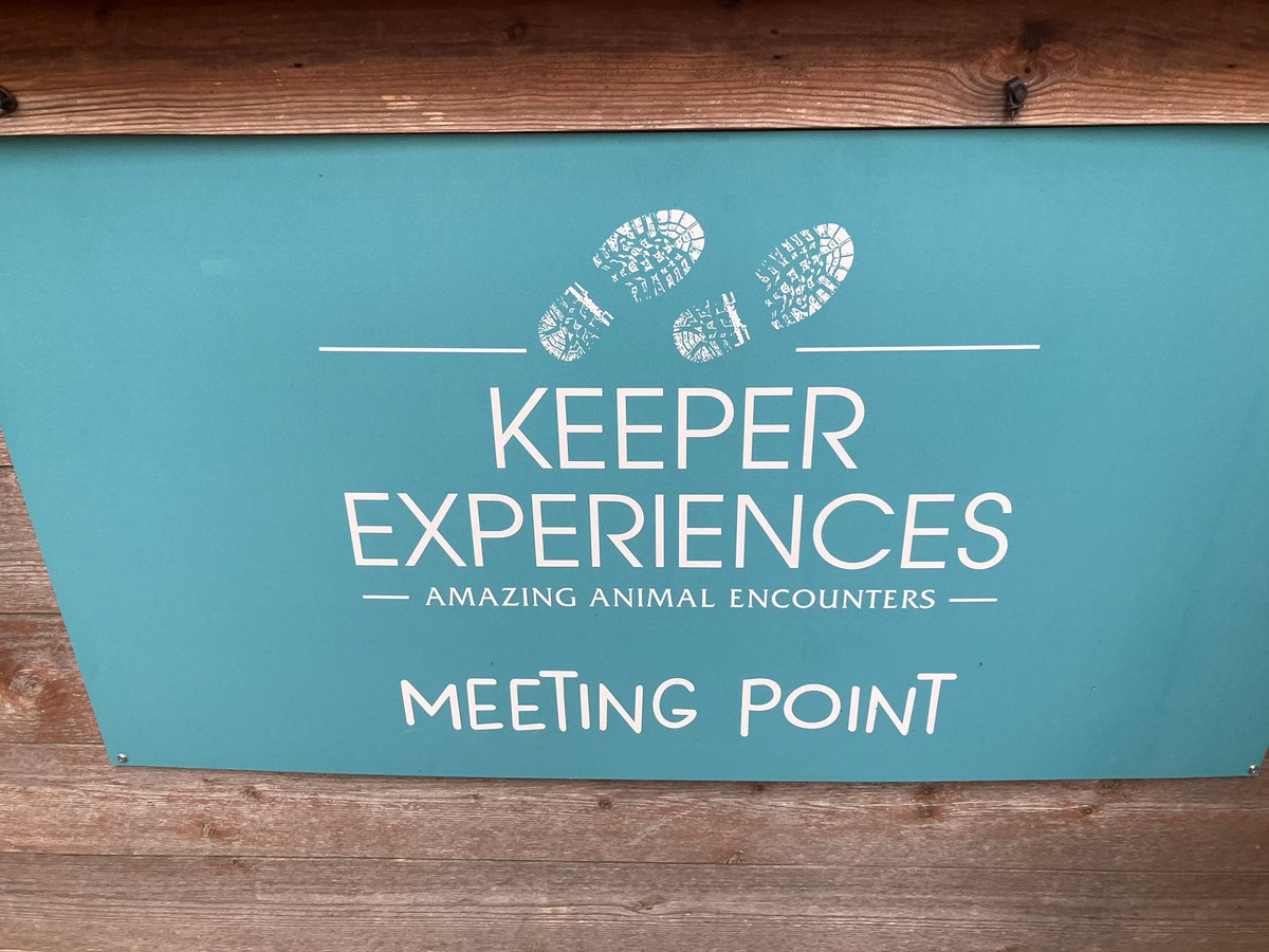 Elizabeth McDonald tweet media