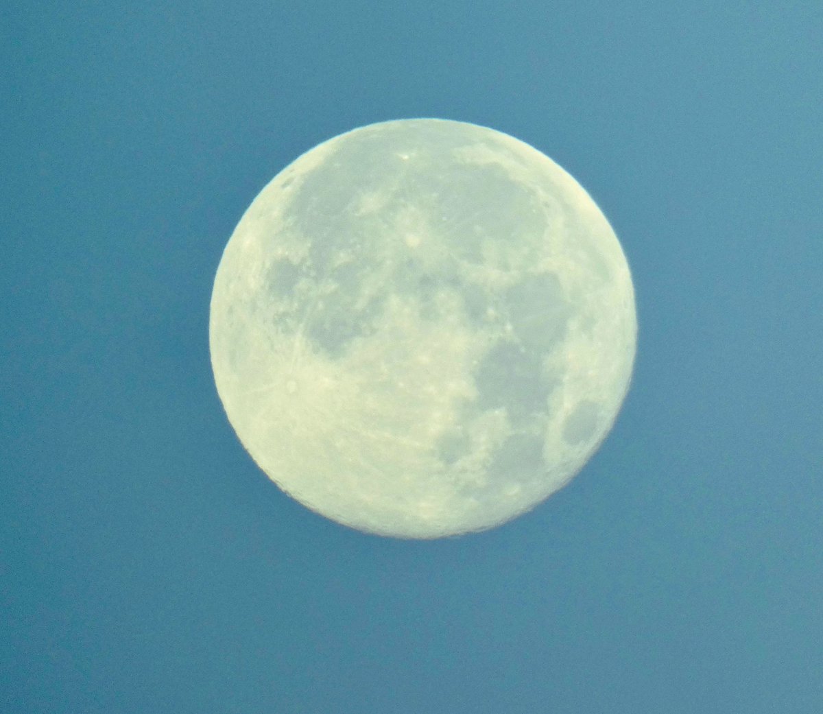 rosetintedlass's tweet photo. Moon 100% setting yesterday morning #HunterMoon https://t.co/Wx7gvuqWM4