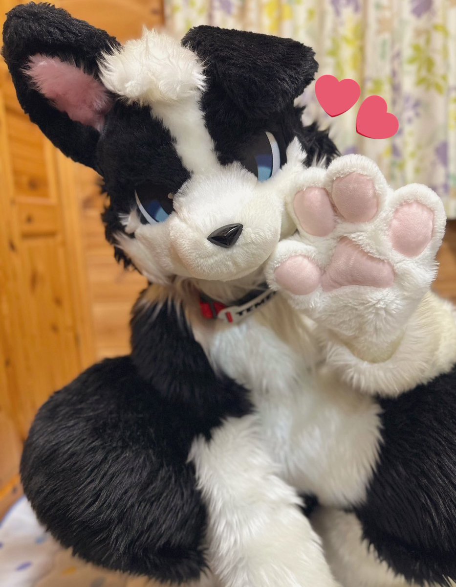 temerea's tweet photo. JMoF2025参加確定しました！
対戦よろしくお願いします！！！！！ https://t.co/hmQMmJp3Vv