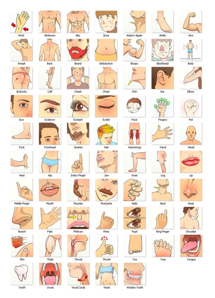 knowiiedges's tweet photo. Body of parts https://t.co/9JNsM1cuPW