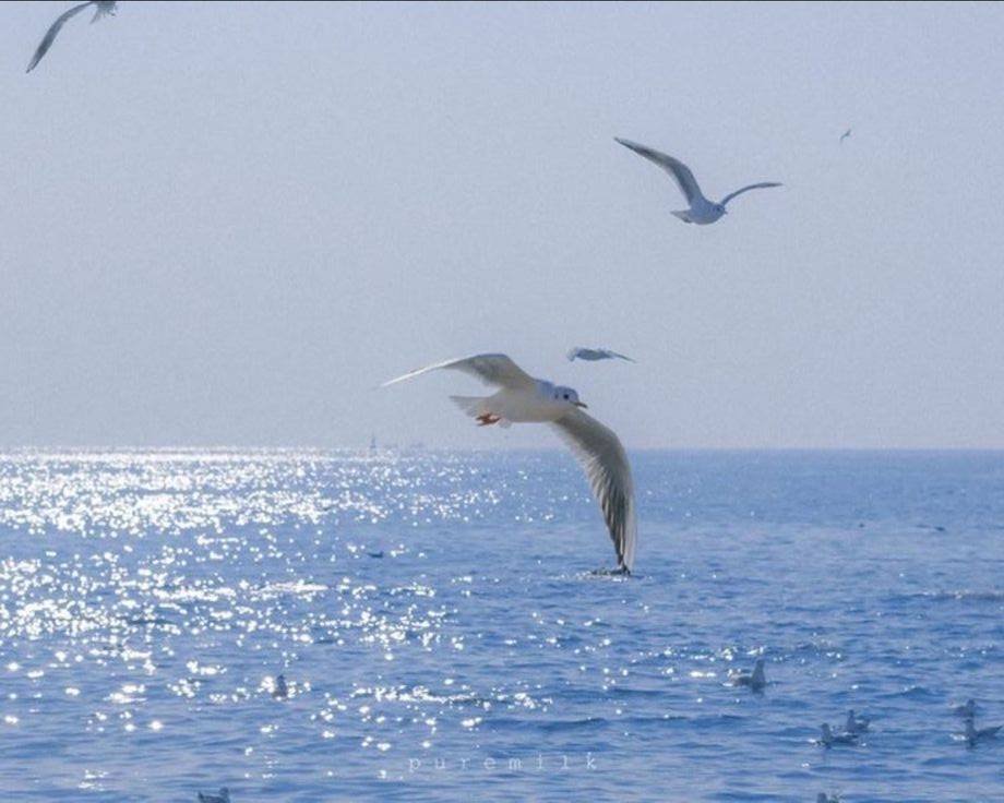 — blue ocean and blue sky.