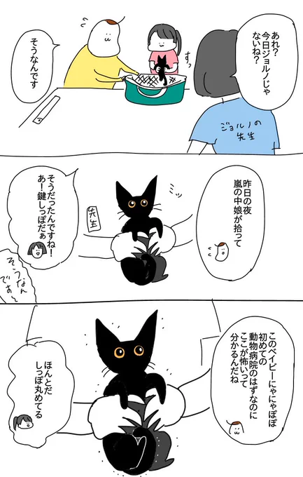 保護猫ポルちゃん① 