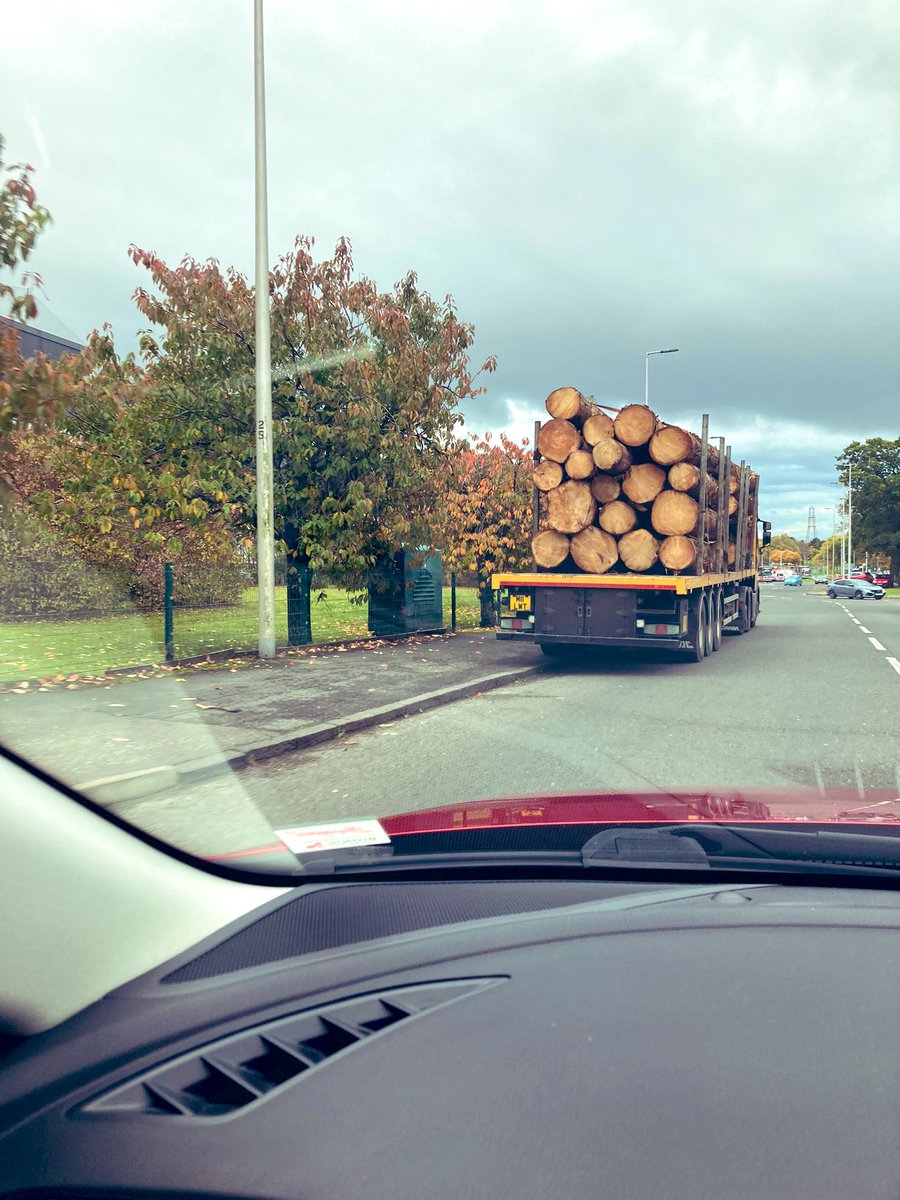 Stewbacca3 🏴󠁧󠁢󠁳󠁣󠁴󠁿 🇪🇺 tweet media