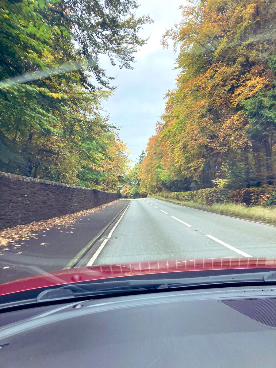 Stewbacca3 🏴󠁧󠁢󠁳󠁣󠁴󠁿 🇪🇺 tweet media