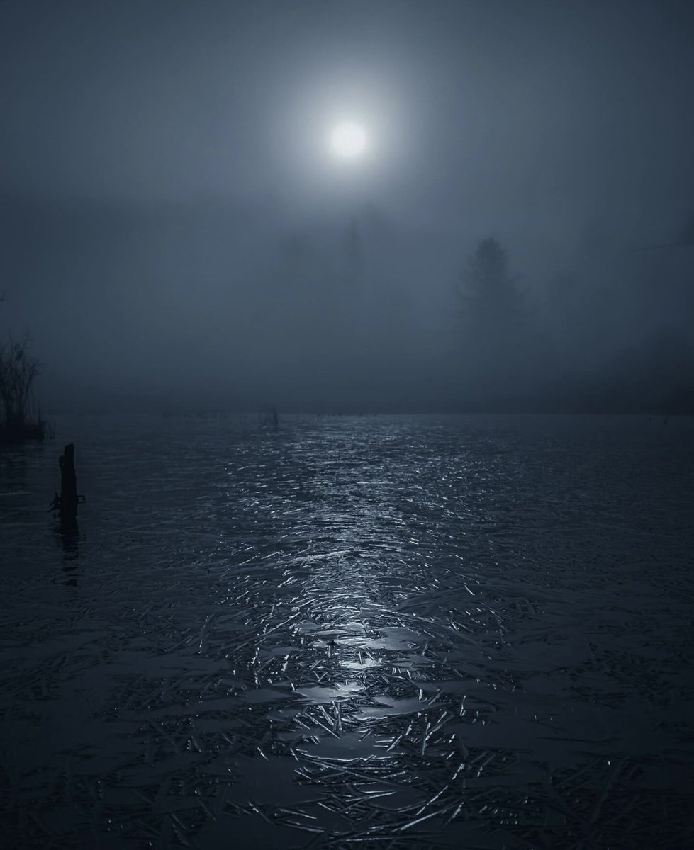 Loki Highlock (@lokihighlock) on Twitter photo 