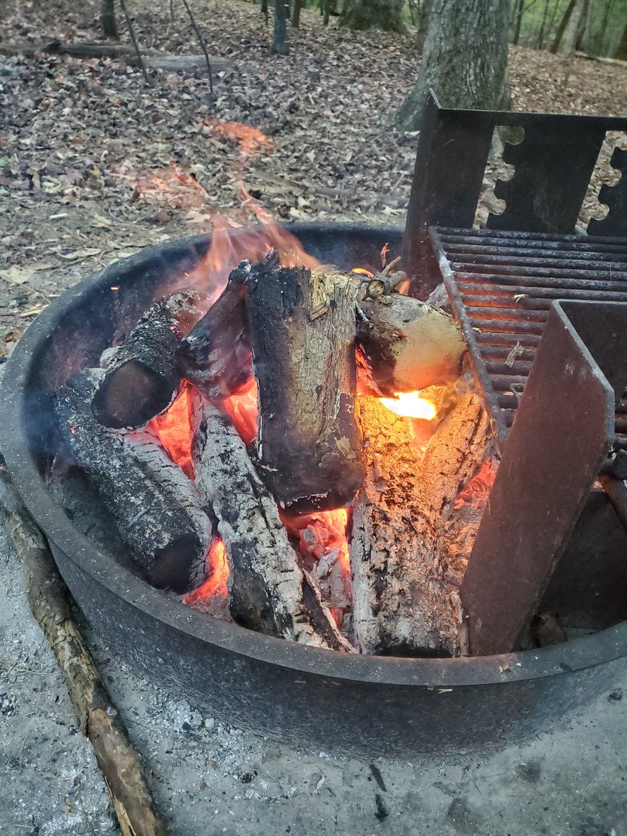 Steven Hornady tweet media