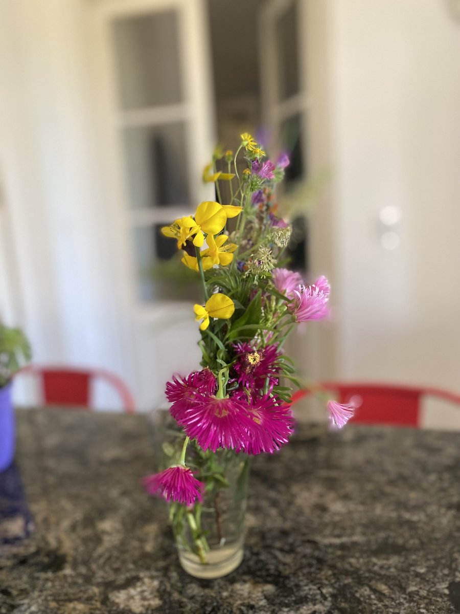mastogiovanni's tweet photo. Una amiga se enteró que andaba tristona y sin decirme nada se me apareció en casa con ramito de flores silvestres que recolectó en el camino.
Déjenme esa gente para siempre porfa https://t.co/Jiab3hV72P