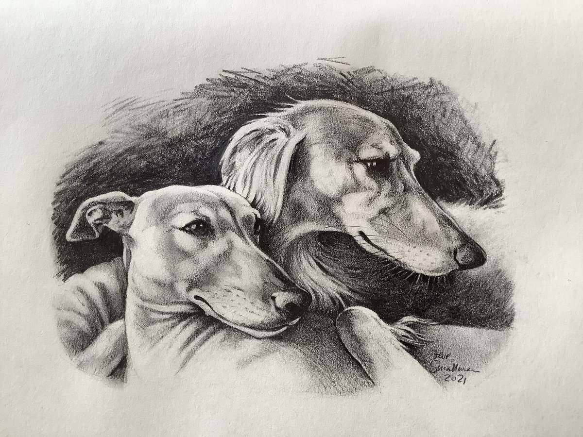 SteveRT1's tweet photo. It’s that time of year again!
I’m open for pet portrait commissions if anyone is interested?
Here are some I made earlier https://t.co/Ey2kFjez3z