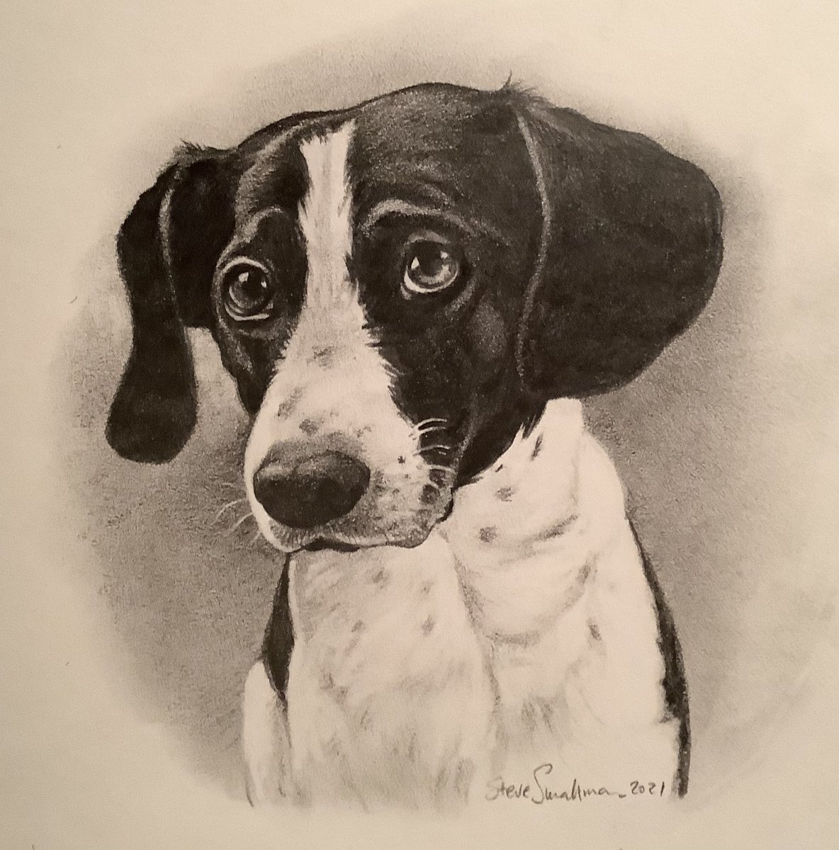 SteveRT1's tweet photo. It’s that time of year again!
I’m open for pet portrait commissions if anyone is interested?
Here are some I made earlier https://t.co/Ey2kFjez3z