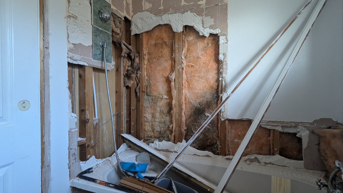 Charlotte Moreau tweet media